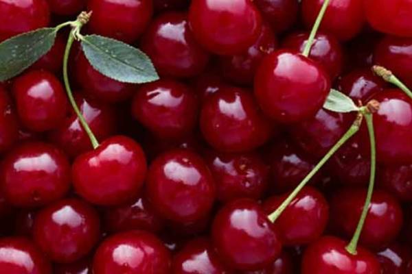 Nutritive values of cherries