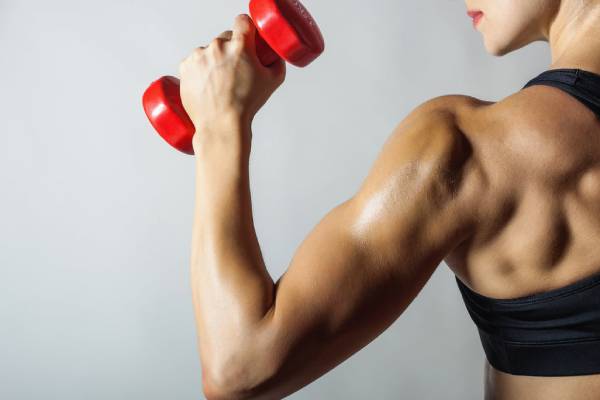 Push the biceps from the diet