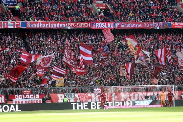 The Bundesliga public